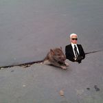 Chicagoist's Lauri decided to make Sad Rat a Fashion Week watcher with Karl Lagerfeld